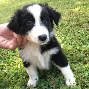 Meet your Posher, Kath